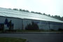 schmetterlingsfarm Trassenheide